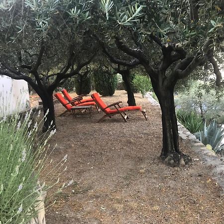 Le Clos En Provence Flayosc Стая снимка