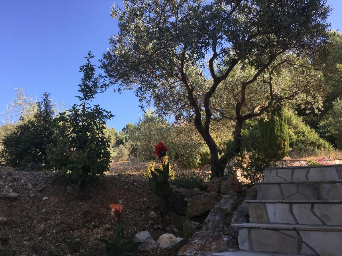 Le Clos En Provence Flayosc Екстериор снимка