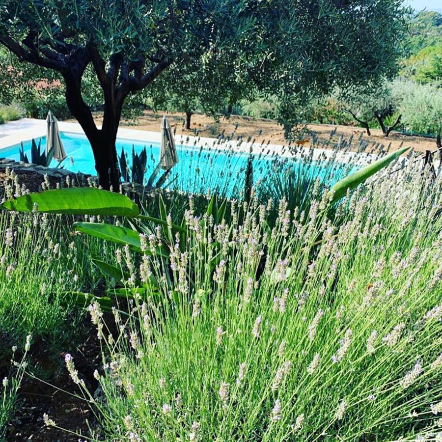 Le Clos En Provence Flayosc Екстериор снимка