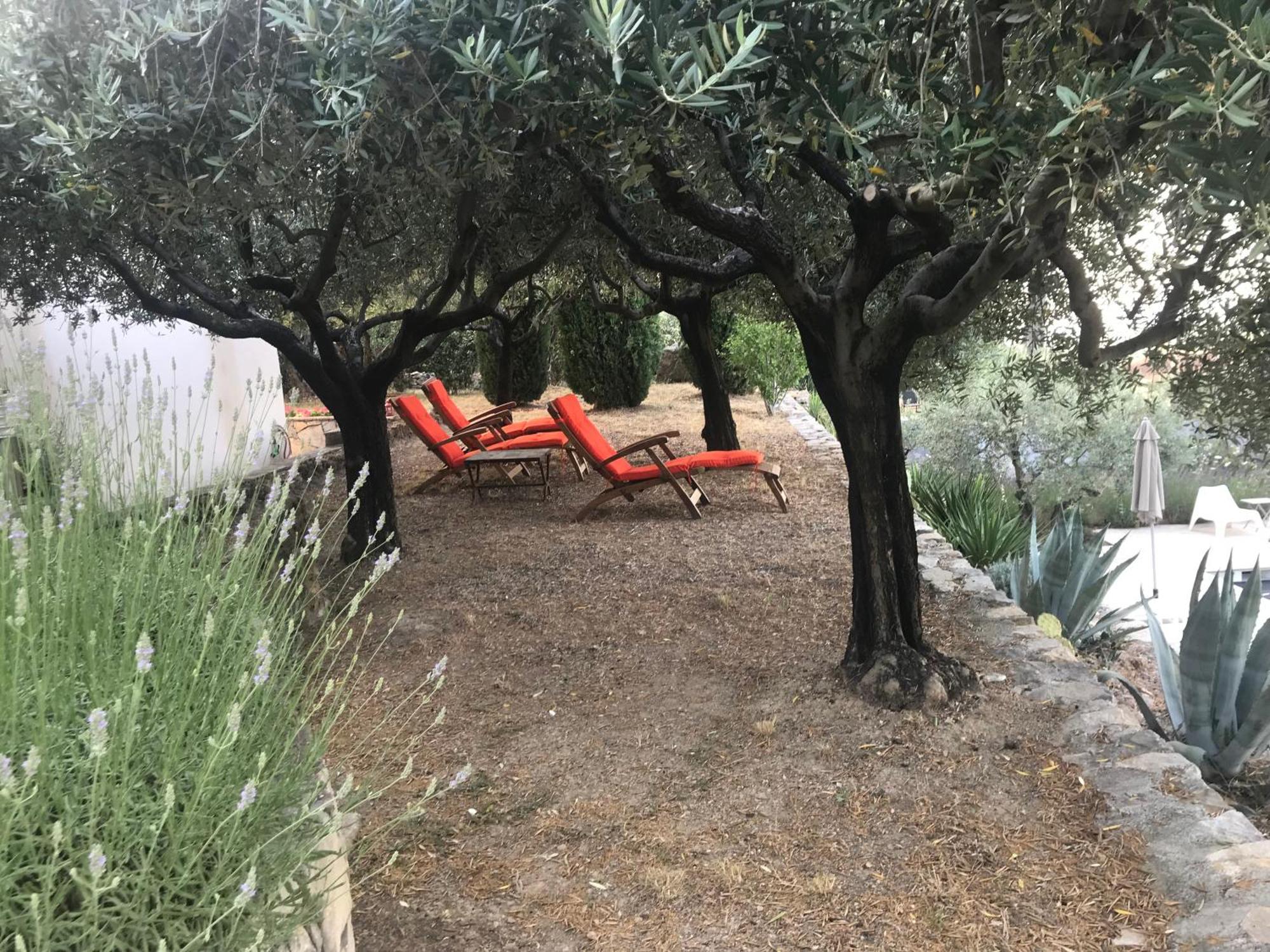 Le Clos En Provence Flayosc Стая снимка